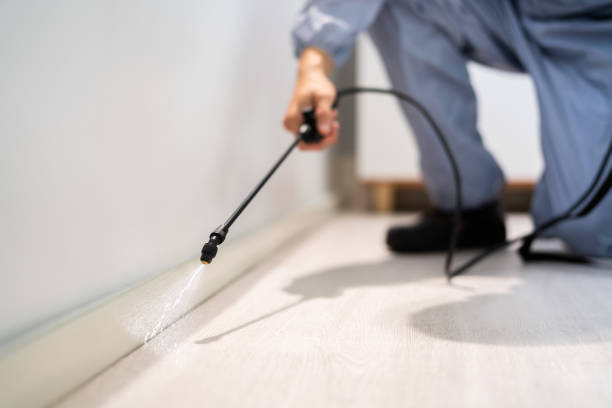 Professional exterminator conducting IPM assessment in Morris